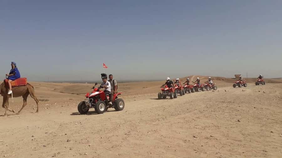 From Marrakesh: Agafay Desert Quad Biking, Camels & Dinner - Key points before you go