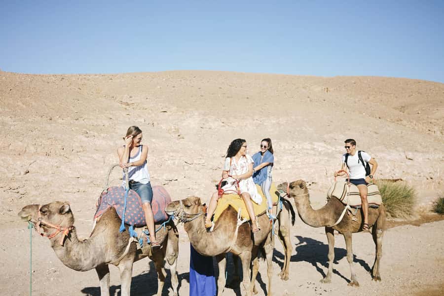 From Marrakesh: Agafay Desert Quad Biking, Camels & Dinner - Berber camp dinner and sunset: where the trip gets emotional