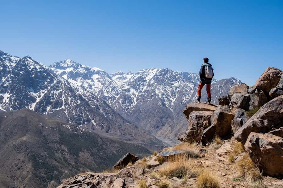 From Marrakesh: Atlas Mountains Talamrout Summit Day Hike - Key Highlights I’d Put First