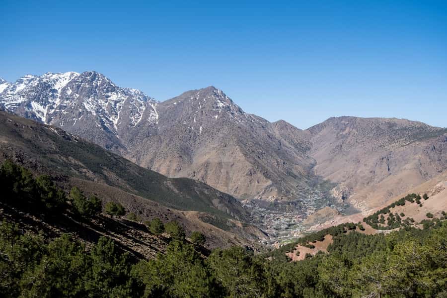 From Marrakesh: Atlas Mountains Talamrout Summit Day Hike - Pine Forest to Adrar Talamrout: The Part That Feels Like a Reward