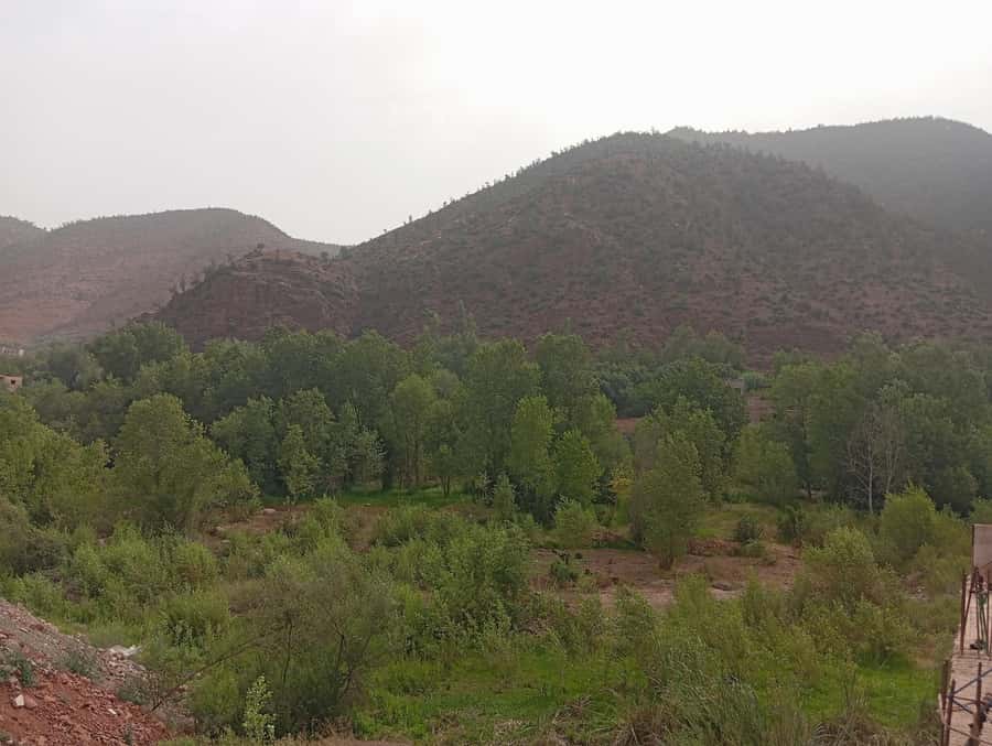 From Marrakesh: Day Tour to Ourika Valley & Atlas Mountains - Practical Tips for a Smoother Setti Fatma Day
