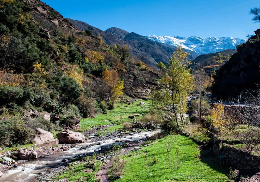 From Marrakesh: Day Trip to Atlas Mountains & Optional Lunch - Key things I’d focus on