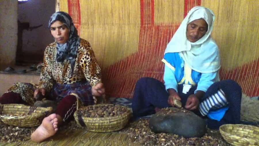 From Marrakesh: Essaouira Day Trip - Return to Marrakech: plan for the second short break