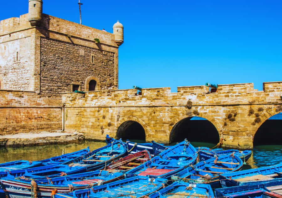 From Marrakesh: Essaouira Full-Day Trip - Leaving Marrakech: the ride to Mogador feels like a mini education