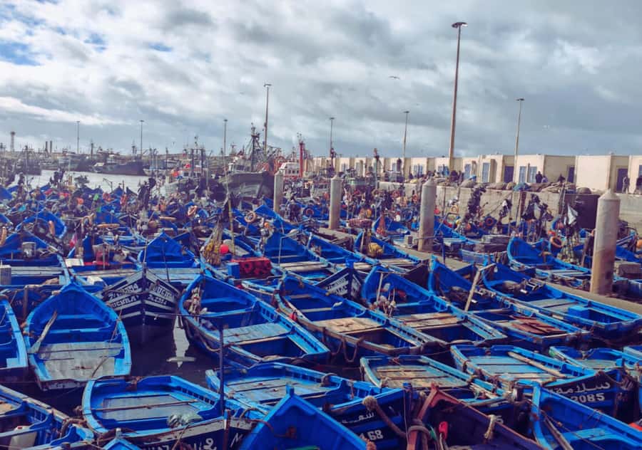 From Marrakesh: Essaouira Full-Day Trip - Argan oil at the women’s cooperative: what you’ll actually learn and use