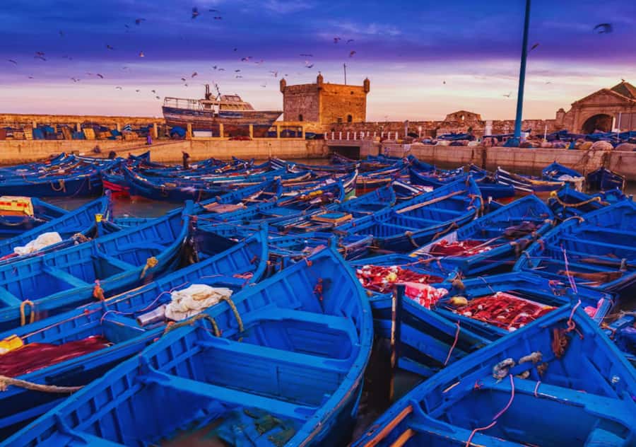 From Marrakesh: Essaouira Full-Day Trip - The Skala de la Kasbah viewpoint: why you should not rush this stop