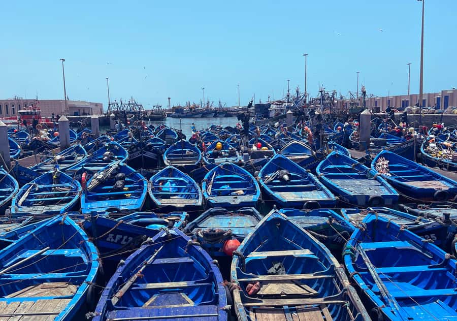From Marrakesh: Essaouira Full-Day Trip - The harbor and thuja wood craft: watching work, not just looking