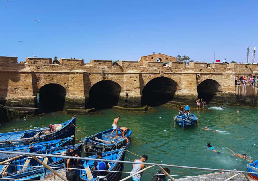 From Marrakesh: Essaouira Full-Day Trip - Lunch by the port: how to make the food part of the trip