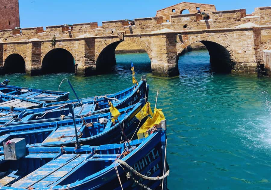 From Marrakesh: Essaouira Full-Day Trip - Value check: why $20 can work if you use the day right