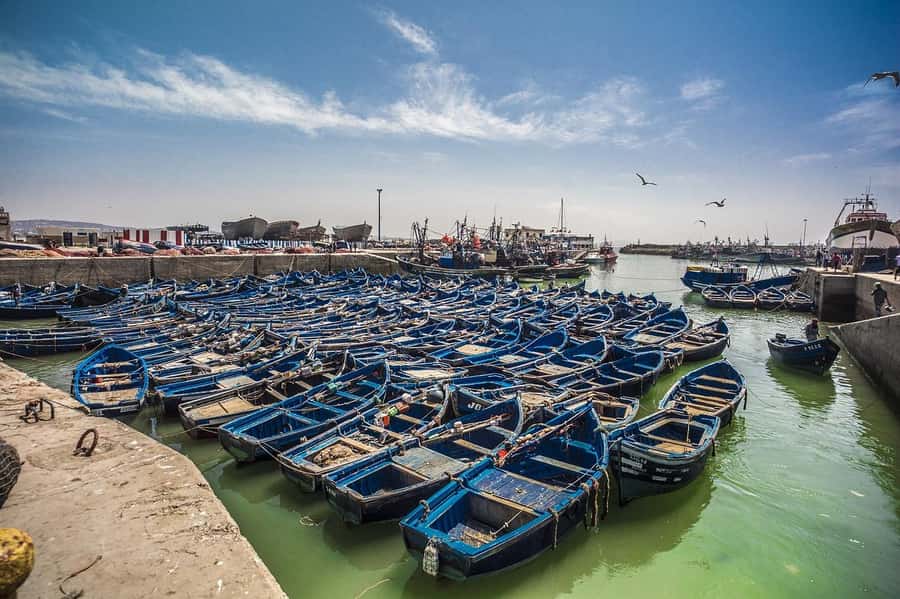 From Marrakesh: Small Group To Essaouira With Opt Activities - Essaouira’s First Walk: Port Life, Seafood Markets, and the Straight Streets