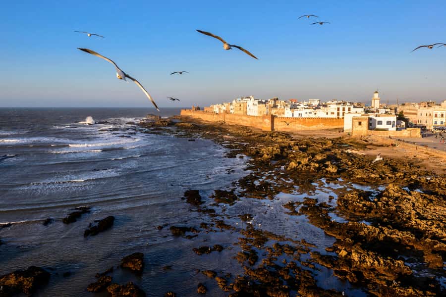 From Marrakesh: Small Group To Essaouira With Opt Activities - Pickup, the Air-Conditioned Van, and That 15-Minute Cafe Stop