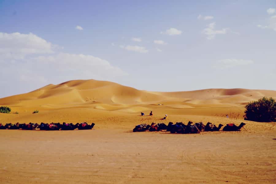 From Merzouga: Desert Overnight in Heated Tent & Camel Ride - Erg Chebbi at Night, the Part You Remember