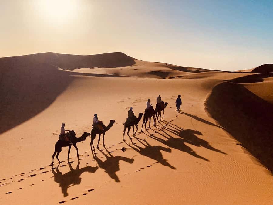 From Merzouga: Overnight Camel Trek over Erg Chebbi Dunes - Price and value: is $70 fair for two days in Erg Chebbi?