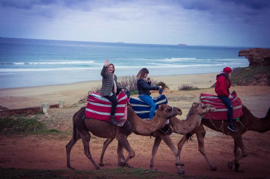 From Seville: Tangier Day Trip with Local Guide and Lunch - Key highlights worth marking on your day