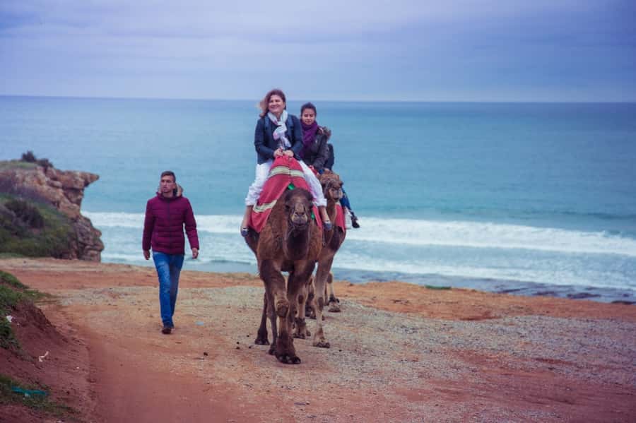 From Seville: Tangier Day Trip with Local Guide and Lunch - Timing reality checks: ferry lines, delays, and the late return