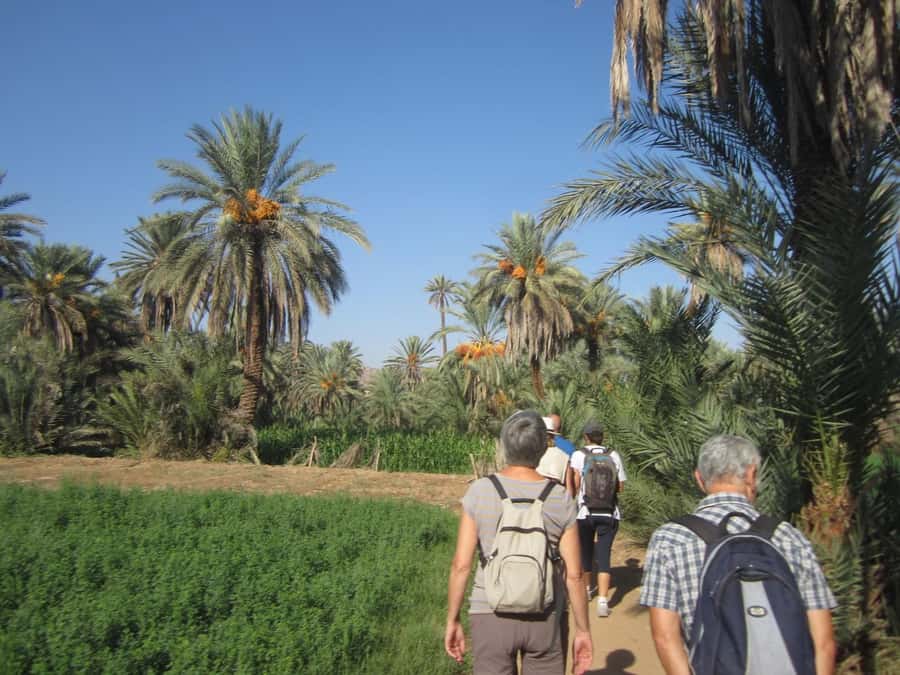 From Taghazout/Agadir: Taroudant and Tiout Day Trip & Tajine - Lunch in Tiout and mint tea: the meal that anchors the whole day