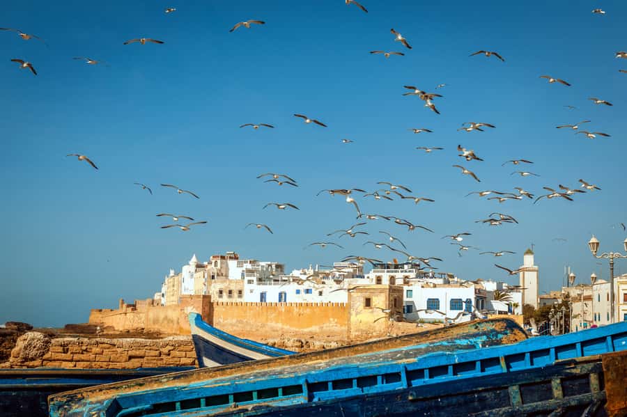 From Taghazout: Medina of Essaouira Guided Day Trip - Taghazout to Essaouira: the ride, the timing, and how to plan for it