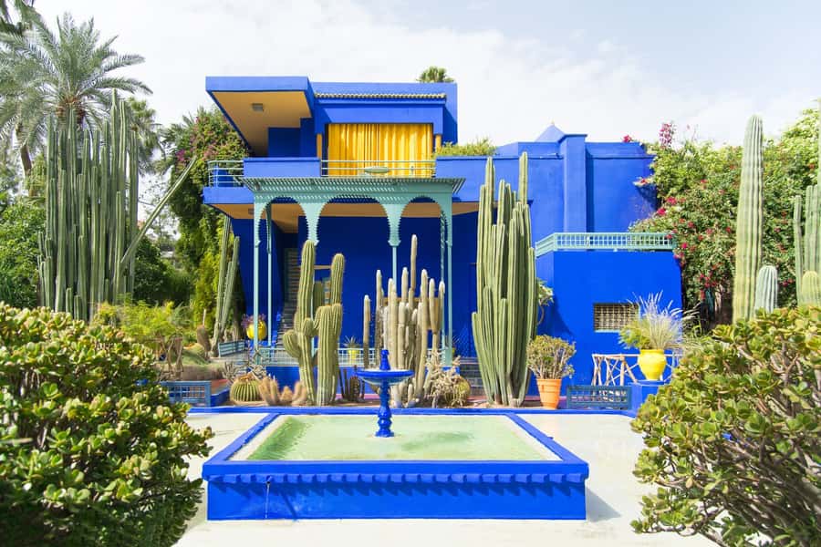 From Taghazout or Agadir: Marrakech Guided Day Trip - Free time in Marrakech: eat, wander, and pick one extra sight
