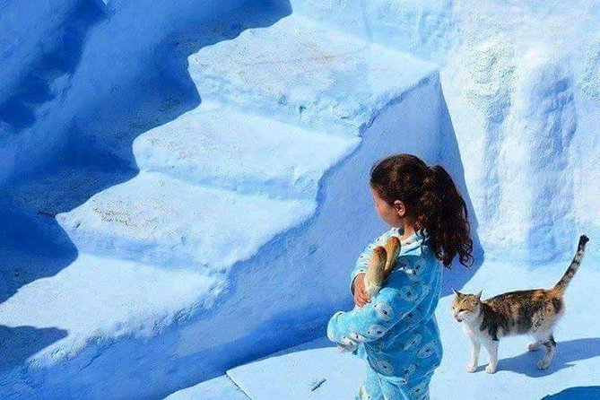From Tangier: Chefchaouen Day Trip with Local Guide - Tangier morning logistics, pickup that keeps you on schedule