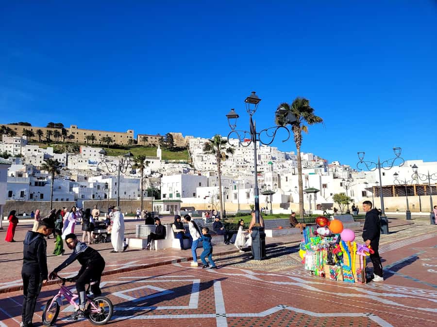From Tangier: Day Trip to Tetouan with Local Guide - Tangier to Tetouan, the day-trip rhythm you can actually handle