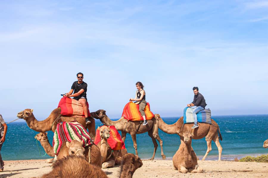 From Tangier: Full-Day Tangier, Asilah, & Cape Spartel Tour - Key Things You’ll Notice on This Tangier to Asilah Day Trip