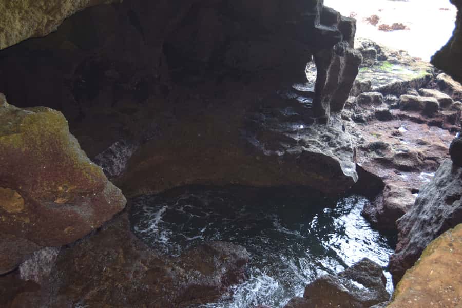 From Tangier: Full-Day Tangier, Asilah, & Cape Spartel Tour - Free Time in Asilah: Use It for Food, Photos, or Craft Browsing