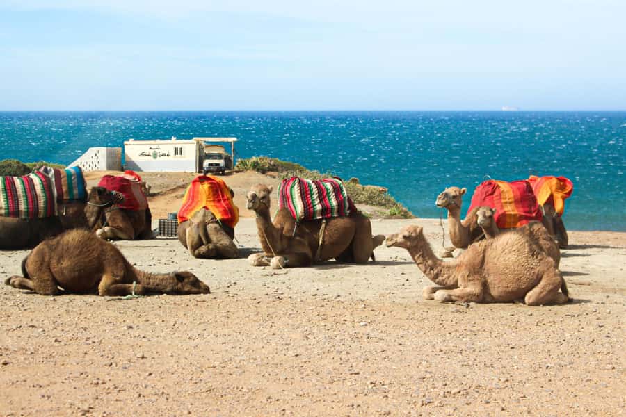 From Tangier: Full-Day Tangier, Asilah, & Cape Spartel Tour - What You’re Actually Paying For: Value of $65 Plus the Extras