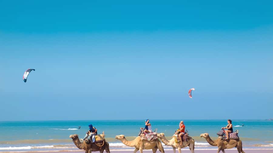 From Tangier: Full-Day Tangier, Asilah, & Cape Spartel Tour - Who This Tour Suits Best (and Who Should Skip It)