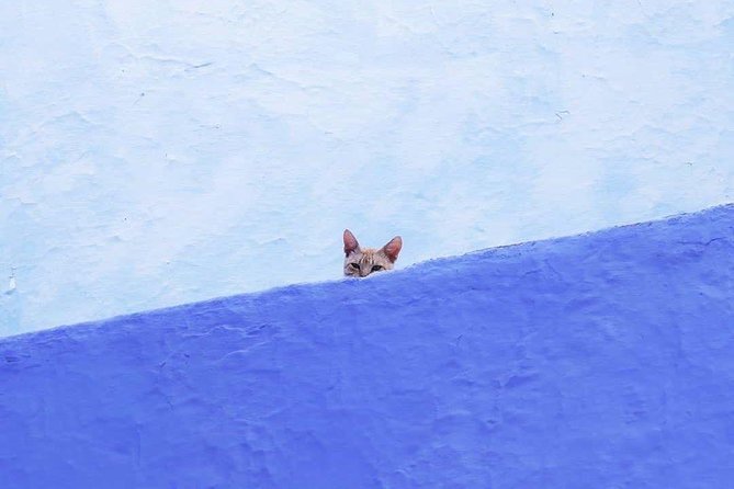 From Tangier: Special Day Trip to Chefchaouen and Tetouan - Why Chefchaouen and Tetouan Make Sense From Tangier