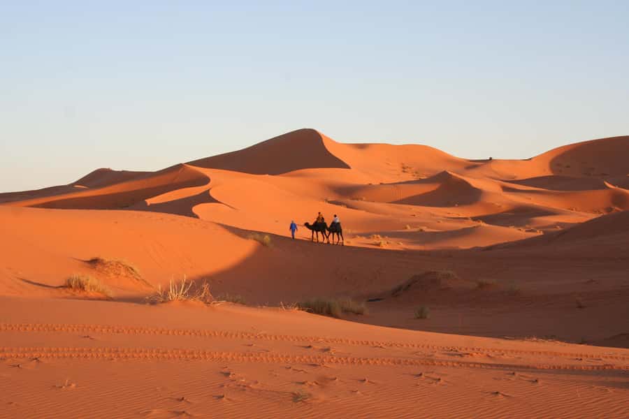 From Zagora: 2-Day Desert Tour to Erg Chegaga - Who Should Book This, and Who Might Be Happier Elsewhere