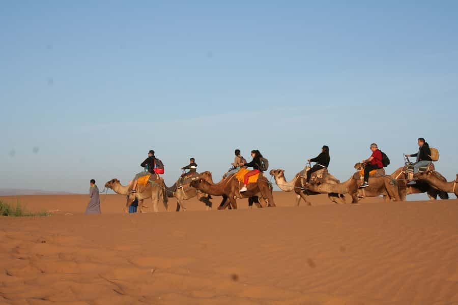 From Zagora: 2-Day Desert Tour to Erg Chegaga - Practical Tips to Make the Desert Portion Easier