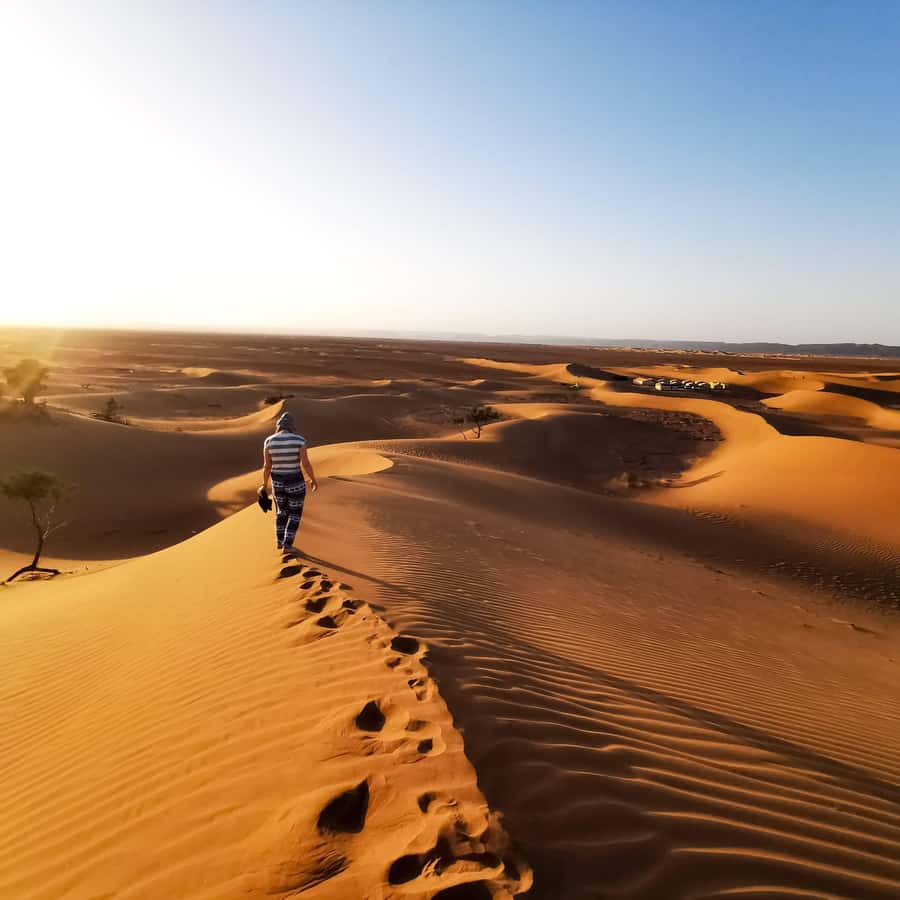 From Zagora: Overnight Desert Tour to Erg Chigaga Camel ride - Key moments I’d circle on your calendar