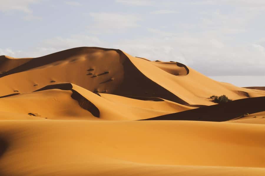 From Zagora: Overnight Desert Tour to Erg Chigaga Camel ride - From Zagora to M’Hamid, you trade streets for sand