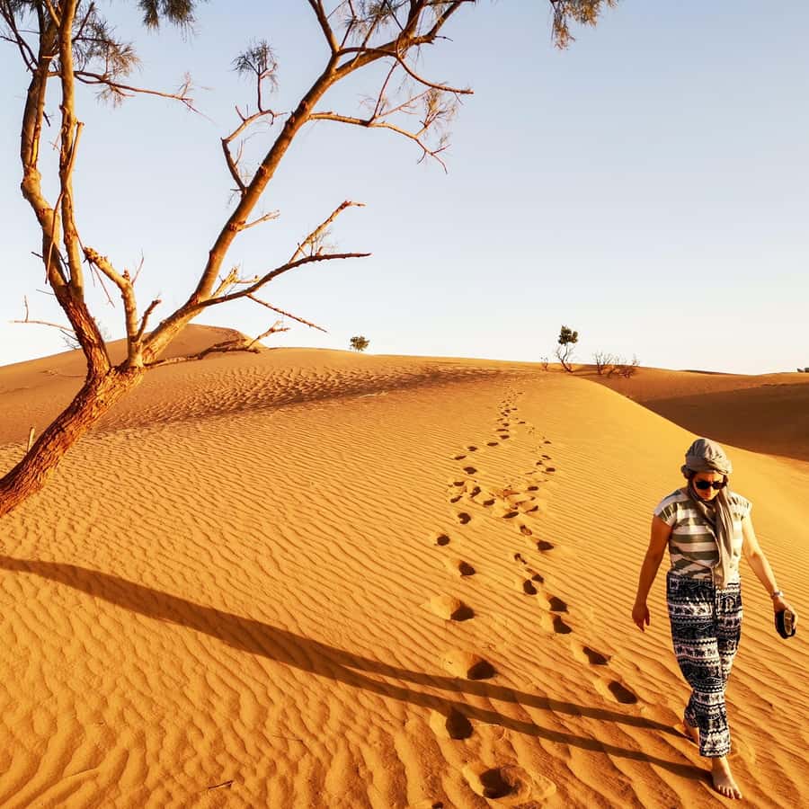 From Zagora: Overnight Desert Tour to Erg Chigaga Camel ride - The oasis stop and the slow buildup to Erg Chigaga