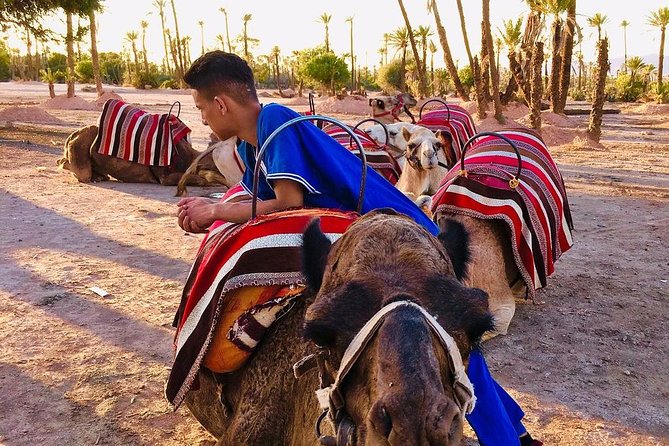 Full-day Agafay Desert and Atlas Mountain Tour - Price and value: why this is such a bargain for Marrakech