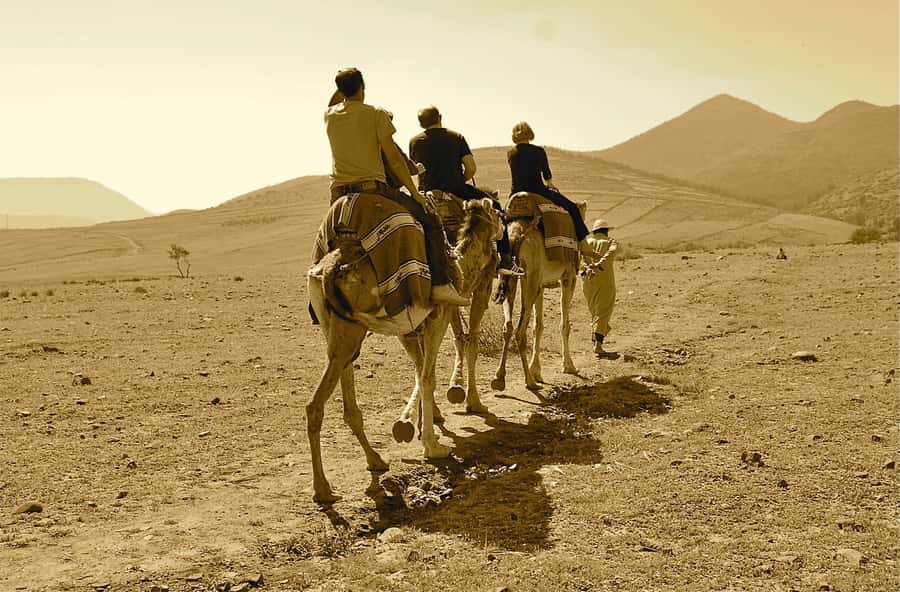 Full-Day Agafay Desert & Atlas Mountains Tour With Camels - Who Should Book This Tour, and Who Should Skip It