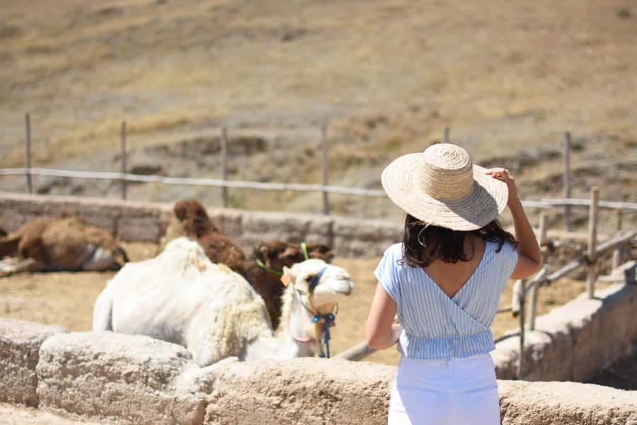 Full-Day Agafay Desert & Atlas Mountains Tour With Camels - Why Agafay and the High Atlas in One Day Works