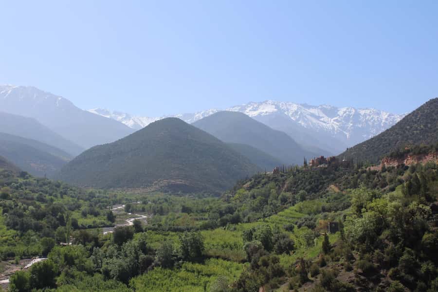 Full-Day Agafay Desert & Atlas Mountains Tour With Camels - Agafay Desert Camel Time and What the View Really Means