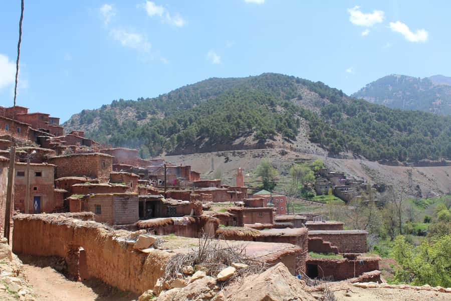 Full-Day Agafay Desert & Atlas Mountains Tour With Camels - Kik Plateau Stops, Mt Toubkal Views, and the Argan Oil Cooperative