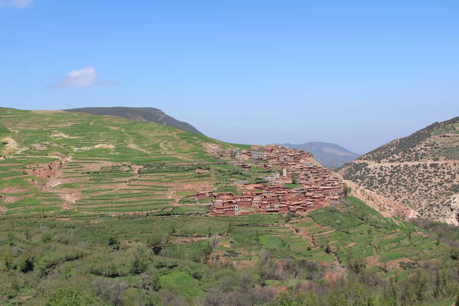Full-Day Agafay Desert & Atlas Mountains Tour With Camels - Berber House Lunch and Mint Tea: Where the Day Becomes Personal