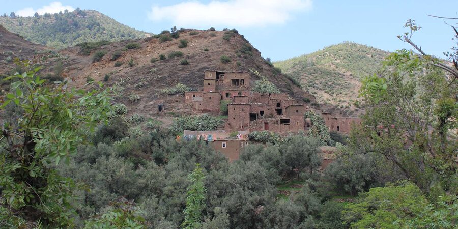 Full-Day Agafay Desert & Atlas Mountains Tour With Camels - The High Atlas One-Hour Walk to Waterfalls (and the Fitness Reality)