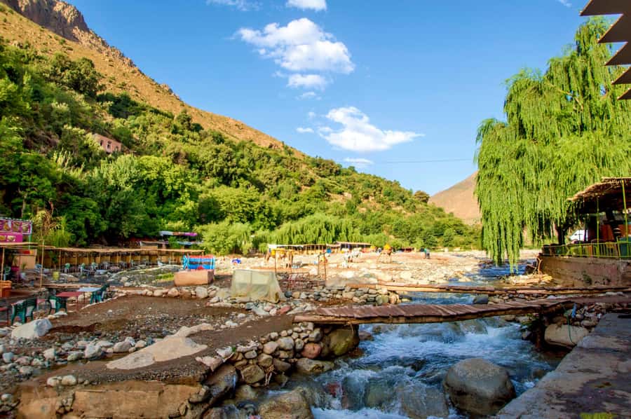 Full-Day Agafay Desert & Atlas Mountains Tour With Camels - What Gets Included, and How That Changes the Value at $28