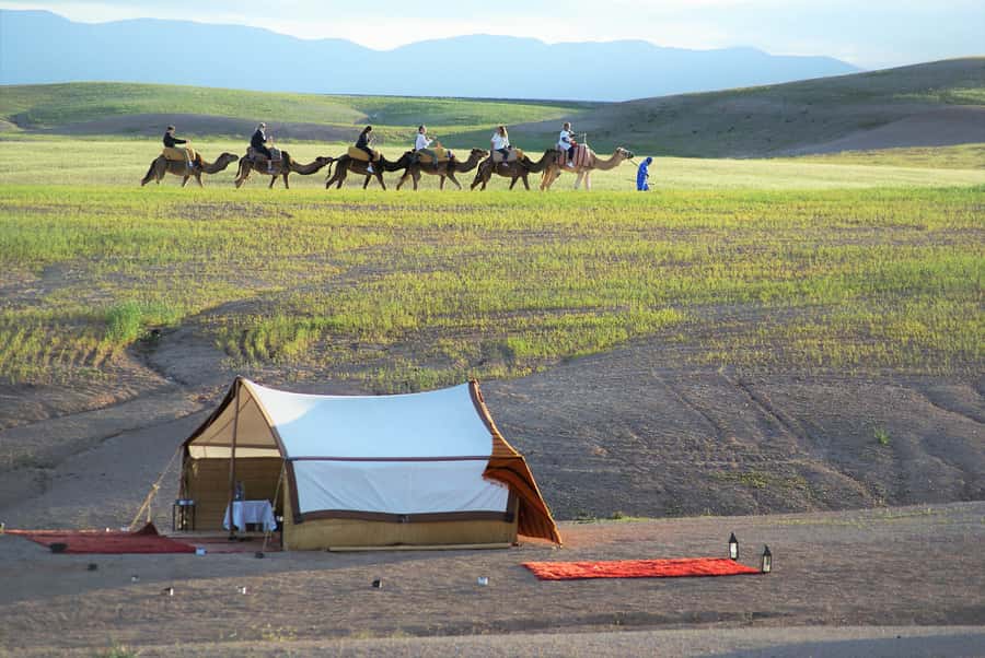 Full-Day Agafay Desert & Atlas Mountains Tour With Camels - Marrakech Pickup, Timing, and the Pace of the Day