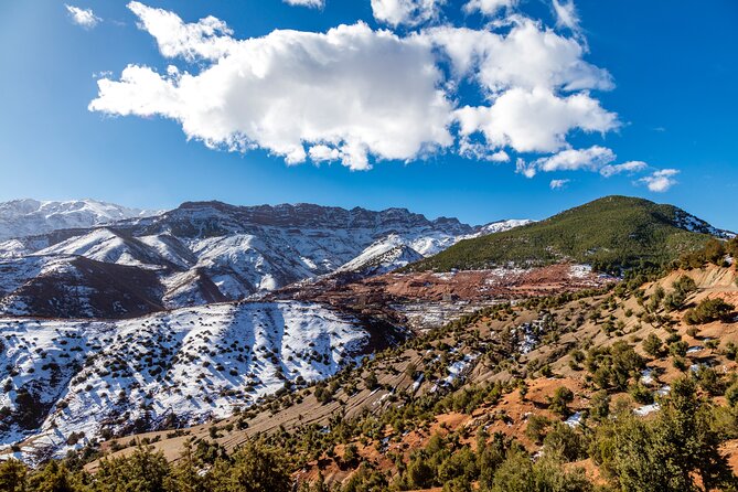 Full Day Berber Villages and Atlas Mountains 4x4 Adventure - Ourika Valley: Rivers, Orchards, and Village Life on the Move