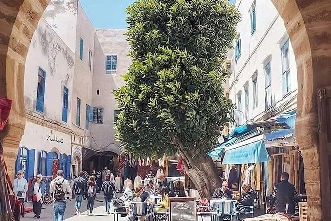 Full Day Excursion from Marrakech to Essouira - Return to Marrakech: the ride home and how to finish strong