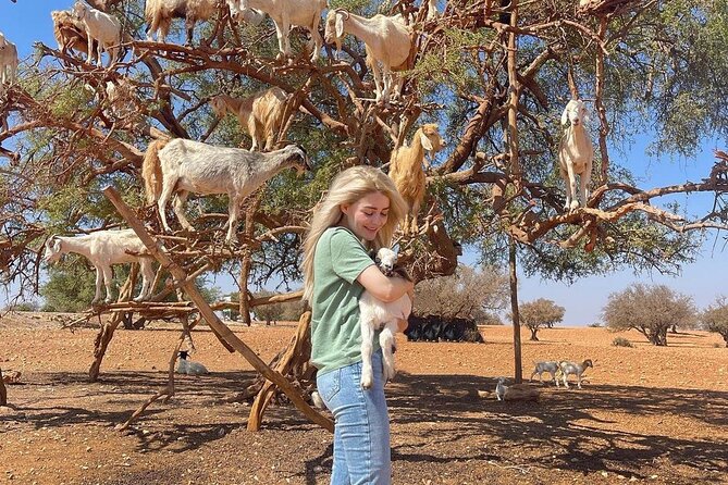 Full Day Excursion from Marrakech to Essouira - Value and who this tour is best for