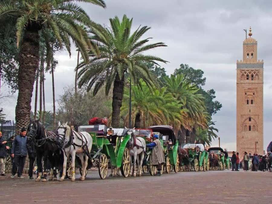 Full-Day Group Trip to Marrakech from Agadir - Timing That Actually Helps: Pickup, Return, and Your Evening Plans