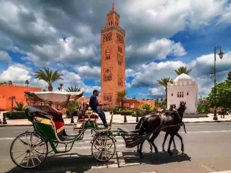 Full-Day Group Trip to Marrakech from Agadir - Who This Day Trip Fits Best (And Who Should Skip It)