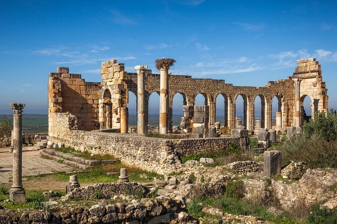 Full-day Historical Meknes Volubilis and Moulay Idriss Tour - Should you book this full-day Fez trip?