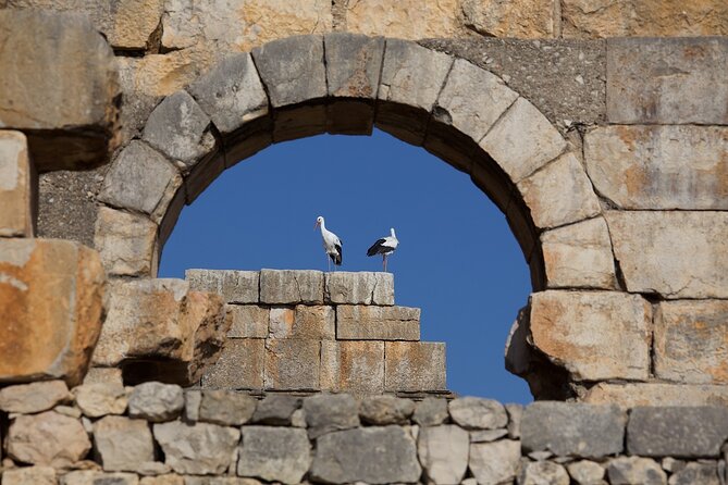 Full-Day Historical Tour to Meknes Volubilis and Moulay Idriss - Stop 3: Meknes royal sights, monumental gates, and Art Museum time